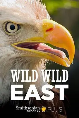 《狂野东部》影评：一场原始欲望与生存的史诗，带你重返蛮荒之地！