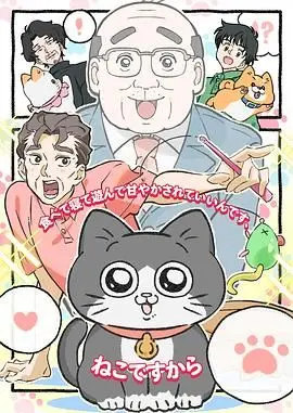 爆笑奇幻：《转生成猫的大叔》 - 当中年危机遭遇喵星人的可爱暴击！
