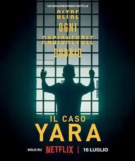 《雅拉命案 铁证背后》：揭开尘封真相，一场关于信任与谎言的罪案博弈